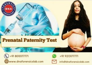 If you seek the best laboratory for a Prenatal Paternity Test during pregnancy, visit DNA Forensics 
