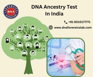 Taking a DNA ancestry test in India unlocks the legacy and provides powerful evidence to support you