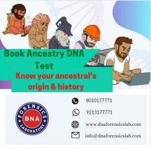 Uncover your family story with the help of an Ancestry DNA test in India. At DNA Forensics Laborator