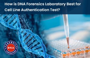If you are looking for cell line authentication in India, you are at the right place. DNA Forensics 