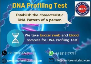Book DNA Profiling Test online at the DNA Forensics Laboratory website. We perform this test for bot