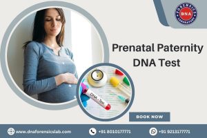 Are you doubtful about your unborn baby’s father & looking for Prenatal Paternity DNA Test