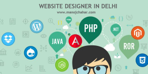 Website Designer in Delhi