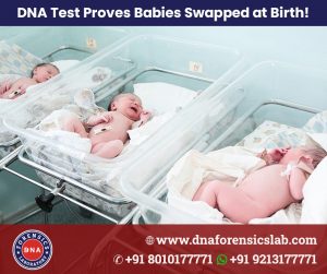 Do you know DNA Tests can prove that Babies Swapped at Birth or not? Most of the time, suspects are 